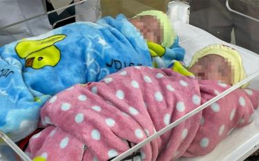 Lần đầu tiên tại Việt Nam, các y bác sĩ đã nuôi sống thành công cặp song sinh nặng 500g, chào đời ở tuần thai thứ 25