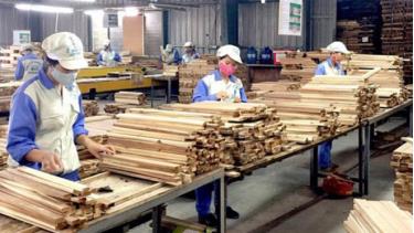 20% doanh nghiệp ngành gỗ vẫn chưa thực hiện chuyển đổi số bất cứ hạng mục nào.