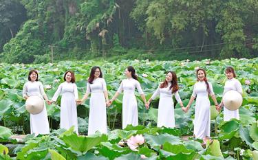 Tourists visit the Van Hoi lotus pond.
