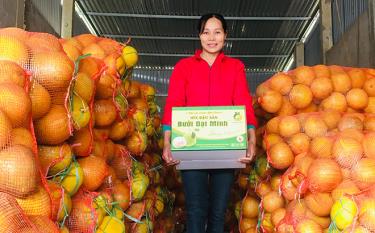 The Dai Minh pomelo cooperative enters harvest season