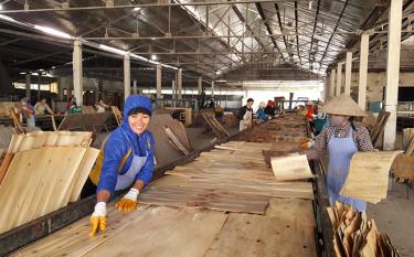 Chế biến gỗ rừng trồng là một trong những thế mạnh kinh tế của Yên Bái.