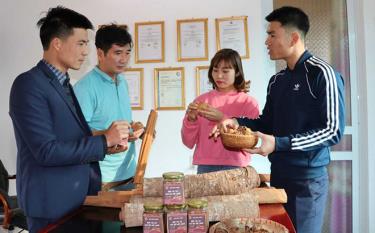 Visitors to a showroom displaying OCOP-certified cinnamon medicinal products of Vietnam Cinnamon Co-operative at the Van Yen Cinnamon Festival 2022.