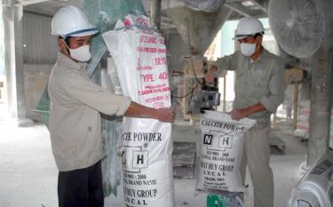 Workers at Yen Bai Cement and Minerals JSC packaging products.