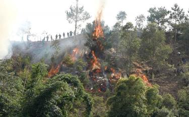 Diễn tập phòng cháy, chữa cháy rừng tại xã Xà Hồ, huyện Trạm Tấu.