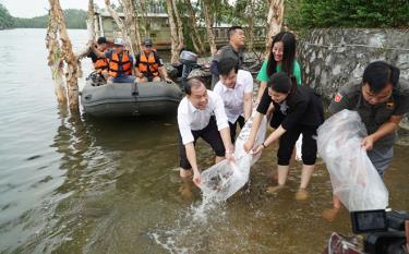 Leaders of the Yen Binh district People’s Committee, the Thac Ba Lake Trading and Tourism JSC, and the Yen Bai Fisheries Centre release fish into Thac Ba Lake.
