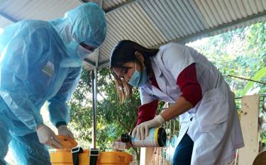 Cán bộ Trung tâm Kiểm soát Bệnh tật tỉnh phun hóa chất phòng, chống dịch sốt xuất huyết tại thôn Thanh Niên, xã Minh Bảo, thành phố Yên Bái.