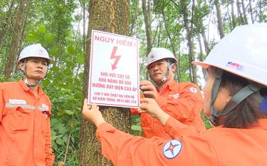 Điện lực Yên Bình kiểm tra, gắn biển cảnh báo khu vực cây có khả năng đổ vào đường dây điện cao áp tại xã Tân Nguyên.