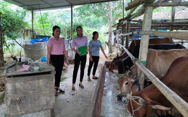 Một gia đình ở xã Liễu Đô, huyện Lục Yên vay vốn tín dụng chính sách để đầu tư phát triển chăn nuôi.