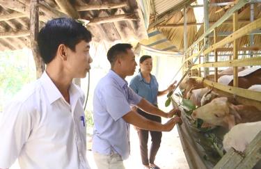 Mô hình chăn nuôi dê của hộ ông Nguyễn Văn Thanh ở xã Yên Hợp, huyện Văn Yên.