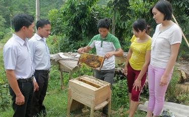 Mô hình nuôi ong của hội viên nông dân xã Ngòi A cho thu nhập trên 100 triệu đồng/năm.