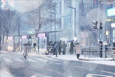 Tuyết phủ trắng tại Seoul, Hàn Quốc, ngày 22/12/2022.