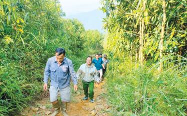 Các thành viên Tổ bảo vệ rừng xã Quang Minh, huyện Văn Yên tuần tra, kiểm soát rừng.