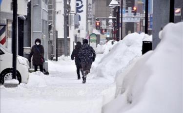 Tuyết rơi dày ở thành phố Aomori, miền Đông Bắc Nhật Bản ngày 24/1/2023.