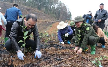 Lãnh đạo huyện Trấn Yên tham gia trồng cây xuân Quý Mão tại xã Nga Quán.