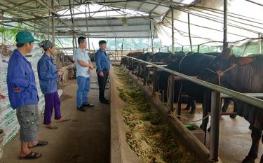 Mô hình nuôi bò 3B của gia đình ông Nguyễn Văn Lợi ở thị trấn Cổ Phúc, huyện Trấn Yên.