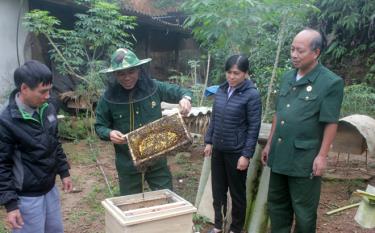 Mô hình nuôi ong của hội viên cựu chiến binh xã Hán Đà cho thu nhập trên 100 triệu đồng/năm.
