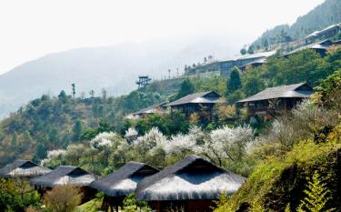 Blooming plum blossoms paint the sky white, making Le Champ Tu Le beautiful as a fairy land.