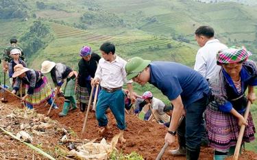 Lãnh đạo, cán bộ, công chức huyện Mù Cang Chải tham gia cùng đồng bào Mông khai hoang ruộng bậc thang trong  