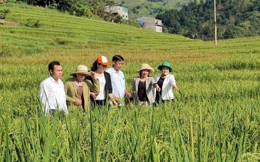 Thường trực HĐND huyện Trạm Tấu giám sát việc triển khai, thực hiện một số chính sách hỗ trợ phát triển sản xuất nông, lâm nghiệp và thủy sản tỉnh Yên Bái, giai đoạn 2021-2025 tại một số xã.