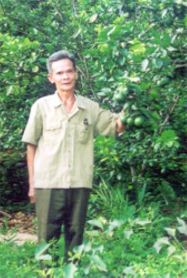 CCB Lại Minh Tiến - xã Tân Thịnh - TP Yên Bái bên vườn quả mang lại thu nhập từ 12 - 15 triệu đồng mỗi năm.