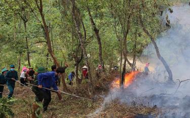 A forest fire fighting drill in Phuc Son commune, Nghia Lo township.
