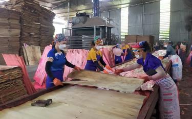 Trấn Yên phấn đấu giai đoạn 2021 - 2025, tỷ lệ lao động phi nông nghiệp đạt trên 52%. Ảnh: Các cơ sở chế biến gỗ tại huyện Trấn Yên đã và đang giải quyết nhiều việc làm cho lao động địa phương.