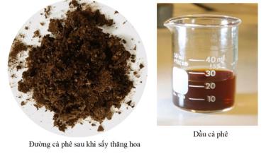 Sản phẩm đường (trái) và dầu cà phê ở dạng thô do nhóm điều chế từ bã cà phê.