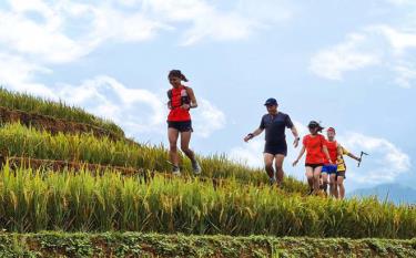 Athletes run through terraced fields