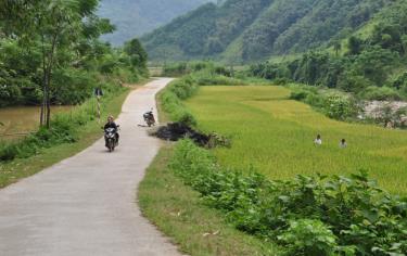 Roads in Hong Ca commune have been concretised (Photo: Thanh Trung)