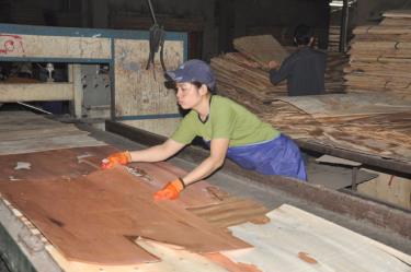 Yen Bai is now home to 2,979 enterprises, 652 cooperatives and 5,901 cooperative groups. (Photo: Thanh Trung)
