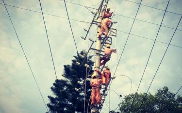 Công nhân Điện lực Yên Bái sửa chữa, bảo dưỡng đường dây trước mùa mưa bão.