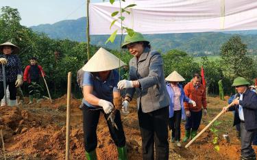 Đồng chí Hoàng Thị Vĩnh - Ủy viên Ban Thường vụ, Trưởng ban Dân vận Tỉnh ủy tham gia trồng cây tại xã Hưng Thịnh, huyện Trấn Yên.