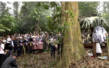 A forest offering ceremony takes place under the canopy of ancient trees.