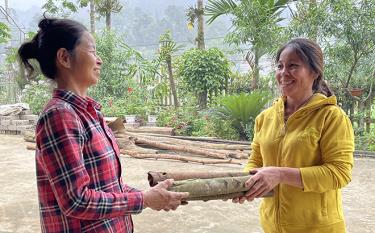 Bí thư Chi bộ thôn Khe Lếch Hà Thị Thu Hiền (bên phải) trao đổi tình hình sản xuất với hộ gia đình trong thôn.
