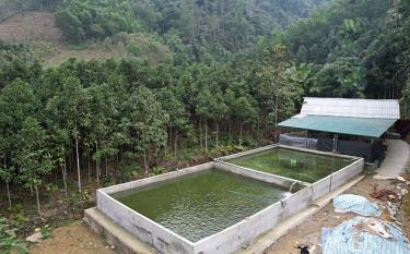 The newly built sturgeon farming establishment of Nguyen Dinh Huyen in Ban Na hamlet, Viet Hong commune.