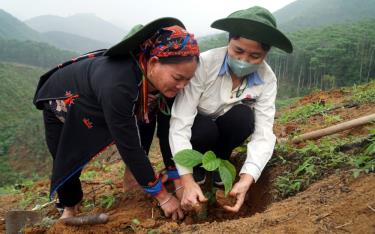 Người dân xã Tân Nguyên, huyện Yên Bình trồng rừng gỗ lớn, góp phần bảo vệ môi trường.