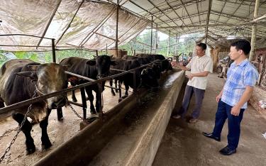 Mô hình chăn nuôi theo hướng sản xuất hàng hóa đã khẳng định rõ vai trò của Đảng bộ trong công tác lãnh đạo phát triển kinh tế địa phương.