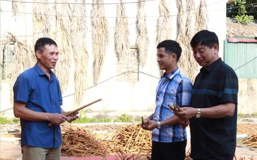 Ông Đoàn Xuân Quý (bên trái) trao đổi với người dân trong thôn mô hình sơ chế vỏ quế tươi.