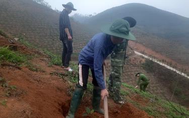 Người dân tham gia hưởng ứng trồng rừng gỗ lớn do Hội Nông dân tỉnh phát động trên diện tích 1,5 ha của gia đình ông Lê Mai Hiền, xã Tân Nguyên, huyện Yên Bình.