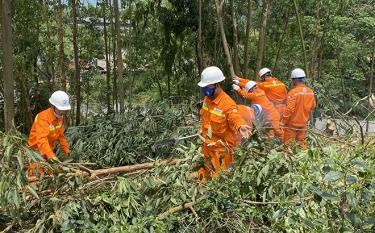 Công nhân Điện lực thị xã Nghĩa Lộ phát chặt cây bảo vệ hành lang lưới điện cao áp.