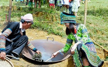 Visitors participate in the process of making Shan Tuyet tea when traveling to SuoiGiang commune, Van Chan district.