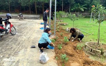 Người dân thôn Đồng Chão tham gia trồng hoa tạo cảnh quan môi trường.