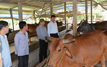 Chủ tịch UBND tỉnh Trần Huy Tuấn thăm mô hình chăn nuôi của hộ gia đình ông Nguyễn Văn Đô, thôn An Thái, xã Minh An.