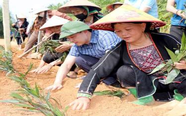 Bí thư Huyện ủy An Hoàng Linh cùng bà con trồng hoa trên tuyến đường thôn Quyết Thắng 2, xã Cảm Nhân.
