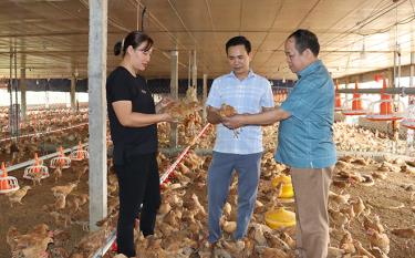 Lãnh đạo Hội nông dân các cấp kiểm tra mô hình chăn nuôi gà quy mô 10.000 con trên lứa.
