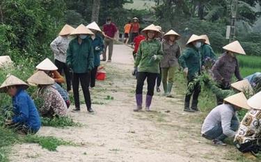 Hội viên Hội Nông dân xã Việt Cường, huyện Trấn Yên tham gia vệ sinh các tuyến đường thôn.