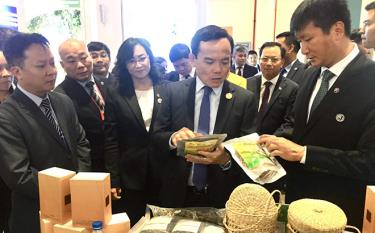 Vice Chairman of the provincial People’s Committee Tran Huy Tuan introduces Yen Bai products to Deputy Prime Minister Tran Luu Quang at the expo.