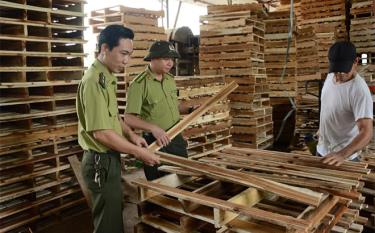 Checking the quality of processed timber in order to ensure export standards.
