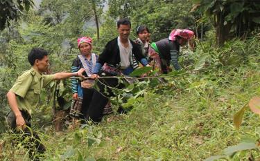 Forest rangers and local residents in Van Chan district
