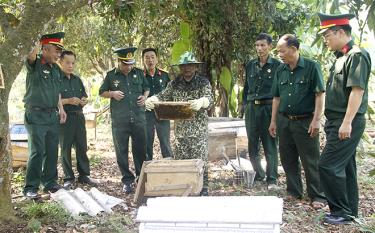 Ông Đồng Văn Tâm giới thiệu với lãnh đạo Hội Cựu chiến binh huyện Văn Yên về Tổ hợp tác nuôi ong xã Mậu Đông.
